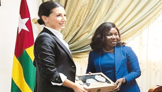 A $7.7 Billion Opportunity for Turkish Companies In Togo